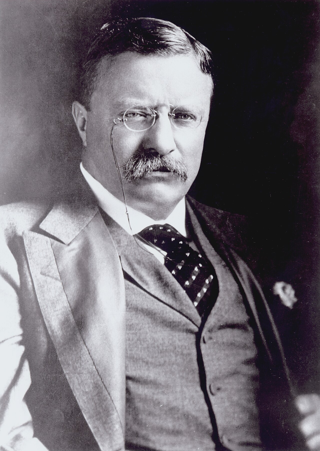 President Theodore Roosevelt — who initiated the antitrust suit against Northern Securities