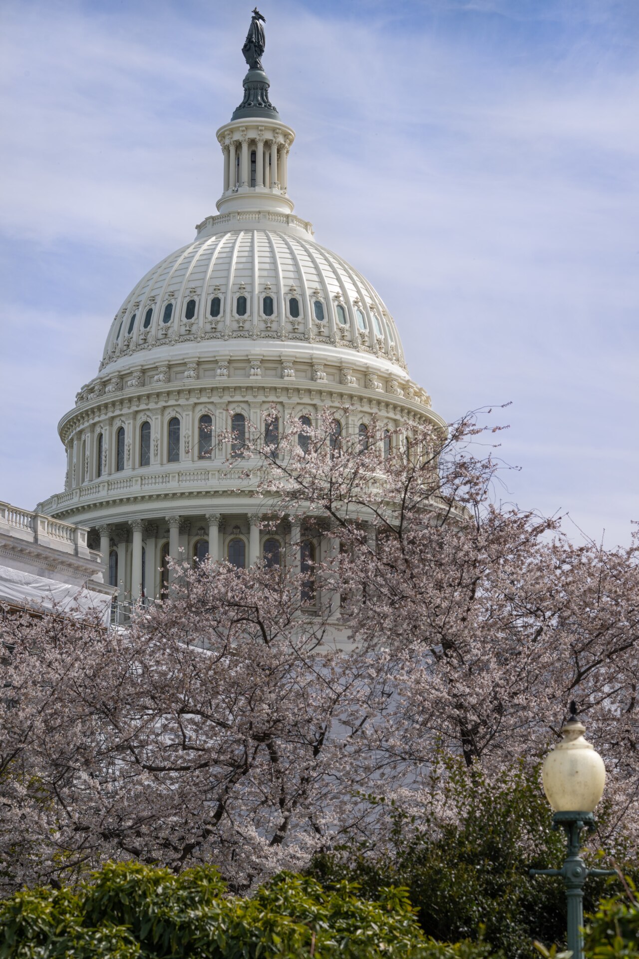 US Capitol Campus spring political access lobbying infrastructure contracts